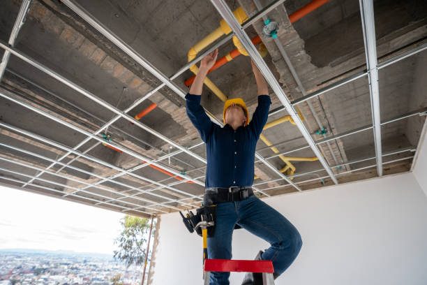Best Plumbing Inspection Services  in Garden Plain, KS